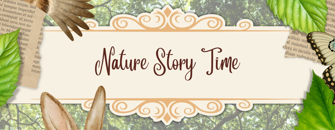 Nature Story Time 6/20/2026